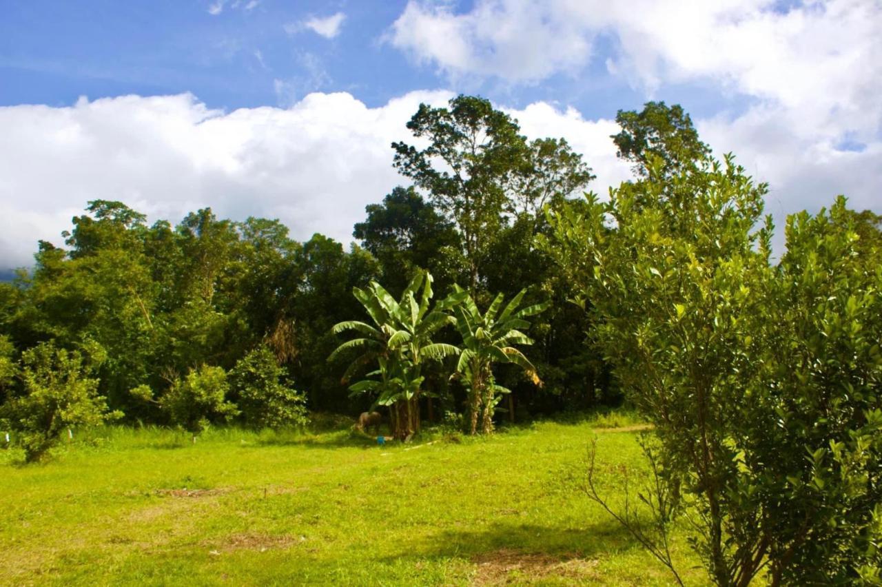 Lorenzo'S Farm And Leisure Santo Tomas Экстерьер фото