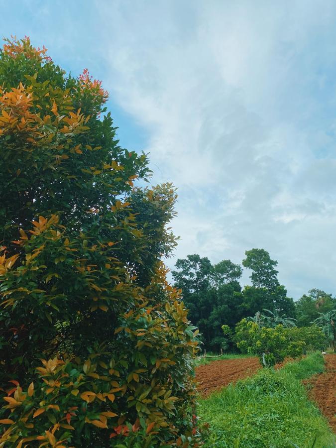 Lorenzo'S Farm And Leisure Santo Tomas Экстерьер фото